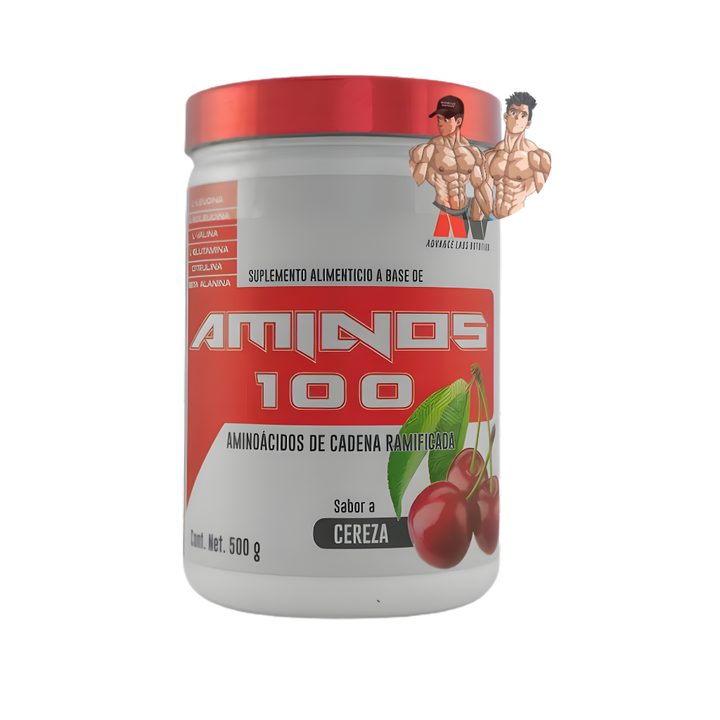AMINO 100 500GRS