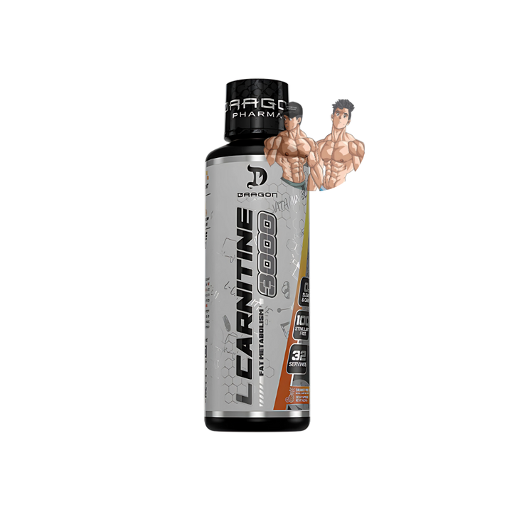 L-CARNITINE 32 SERV
