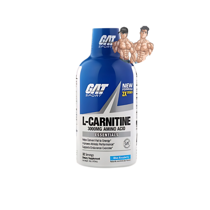 L-CARNITINE 3000 16OZ