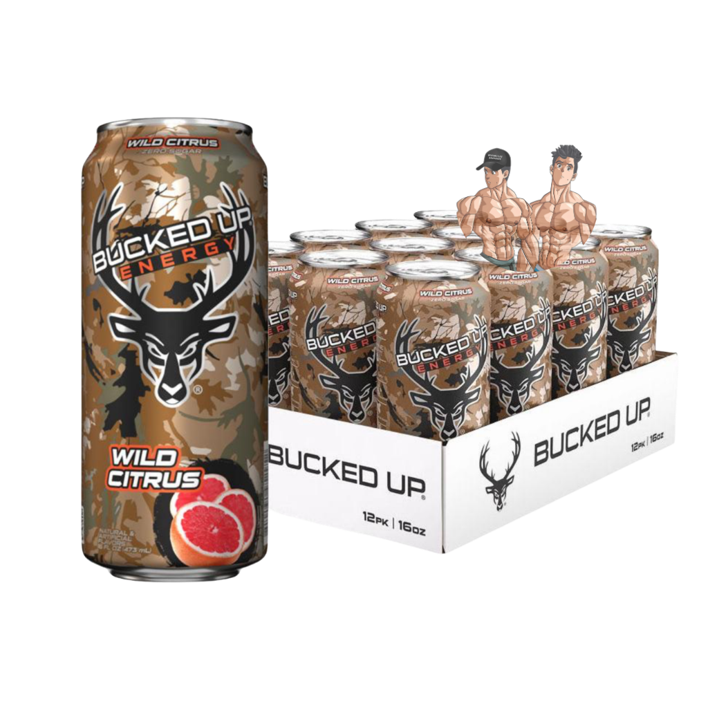 ENERGY DRINKS 16OZ 12PK