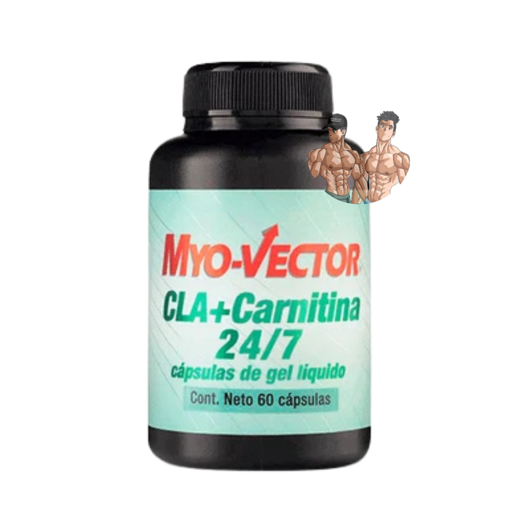 MYO-VECTOR CLA + CARNITINA 24/7 60 GEL CAPS