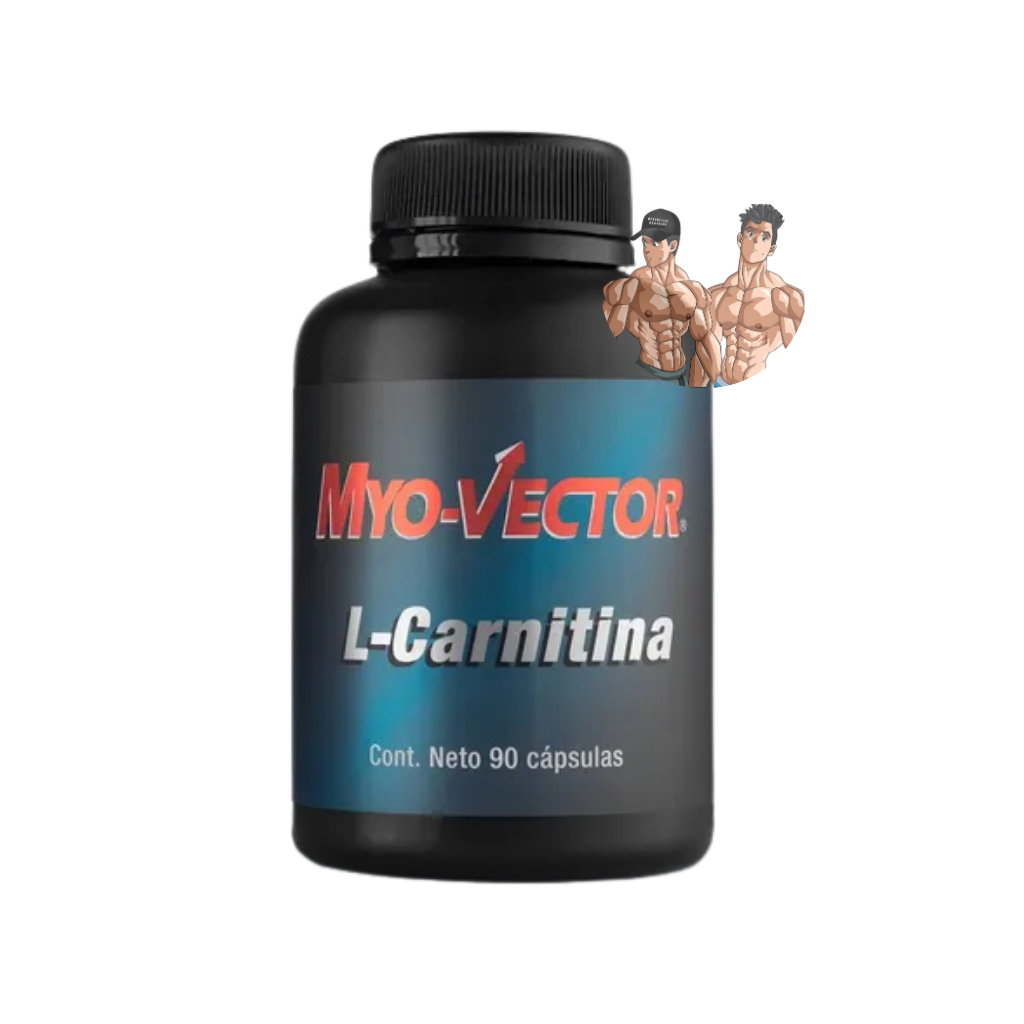 MYO-VECTOR L-CARNITINA 90 CAPS