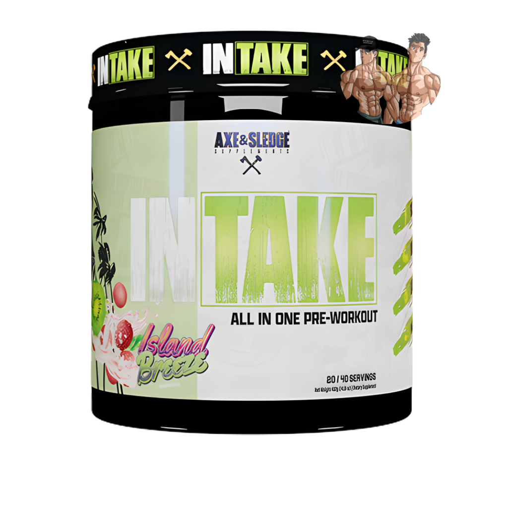 INTAKE PWO 20/40 SERV