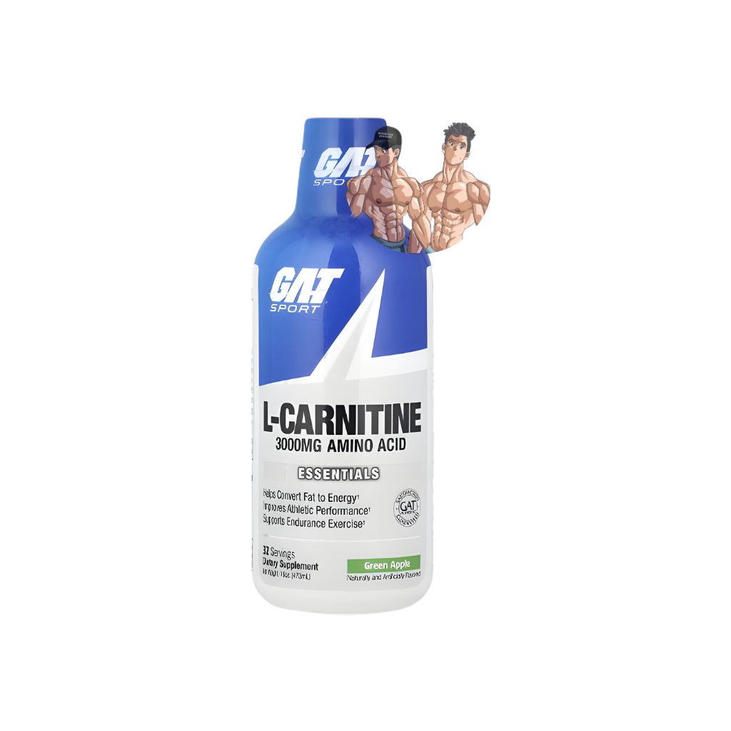 L-CARNITINE 3000 16OZ