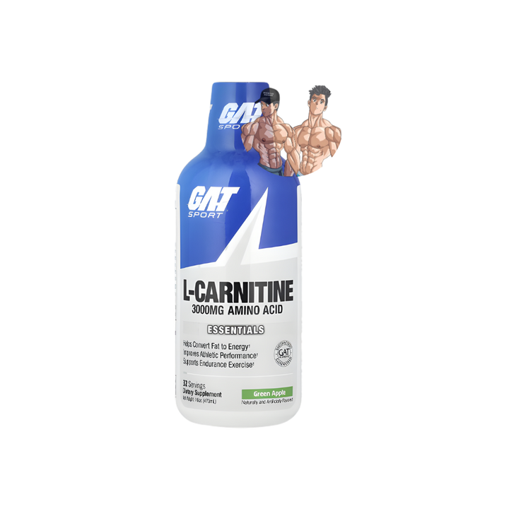 L-CARNITINE 3000 16OZ