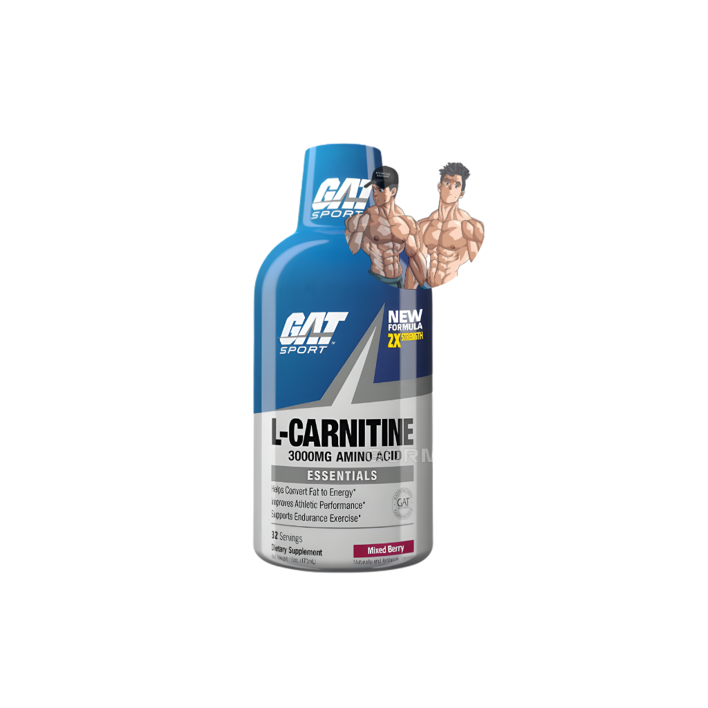 L-CARNITINE 3000 16OZ