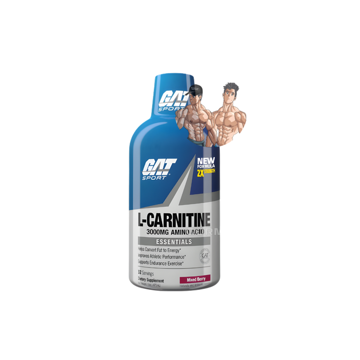 L-CARNITINE 3000 16OZ