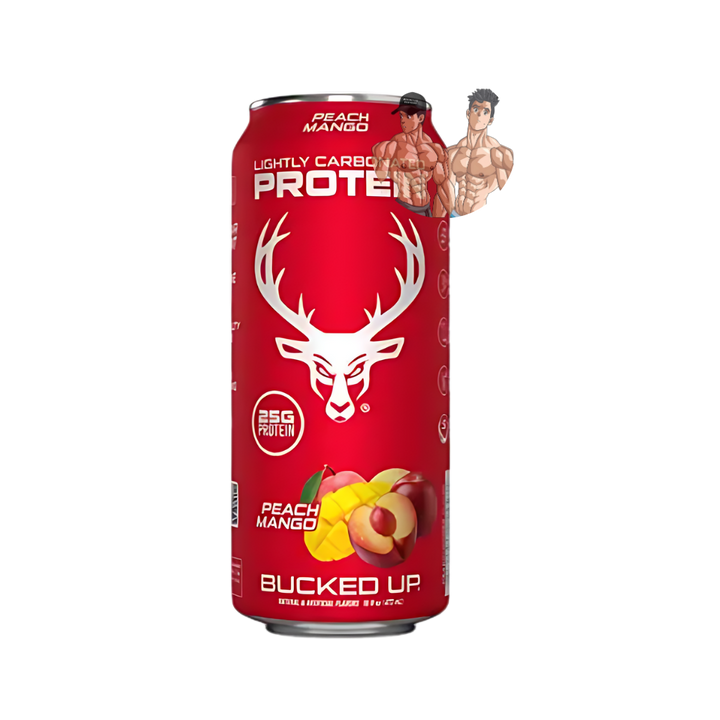 LIGHTLY CARBONATED PROTEIN 16 OZ