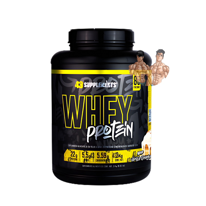 PREMIUM BOTE WHEY 3 KILOS