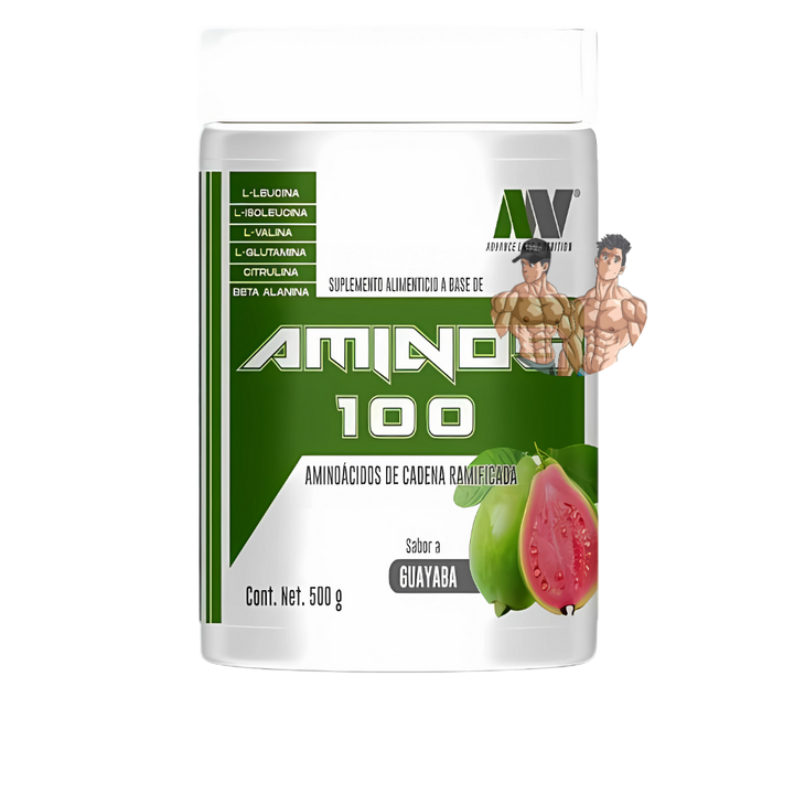 AMINO 100 500GRS