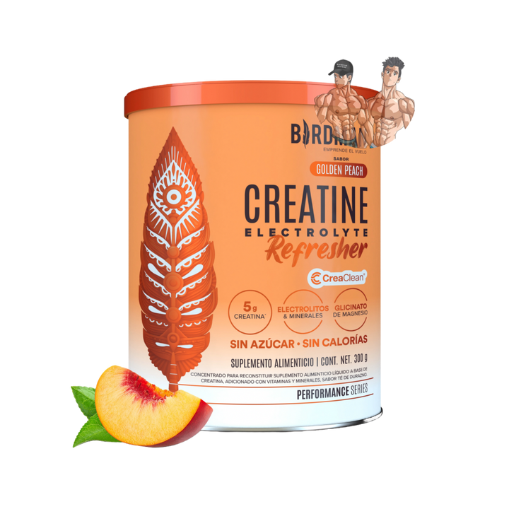 CREATINE ELECTOLYTE REFRESHER 300G