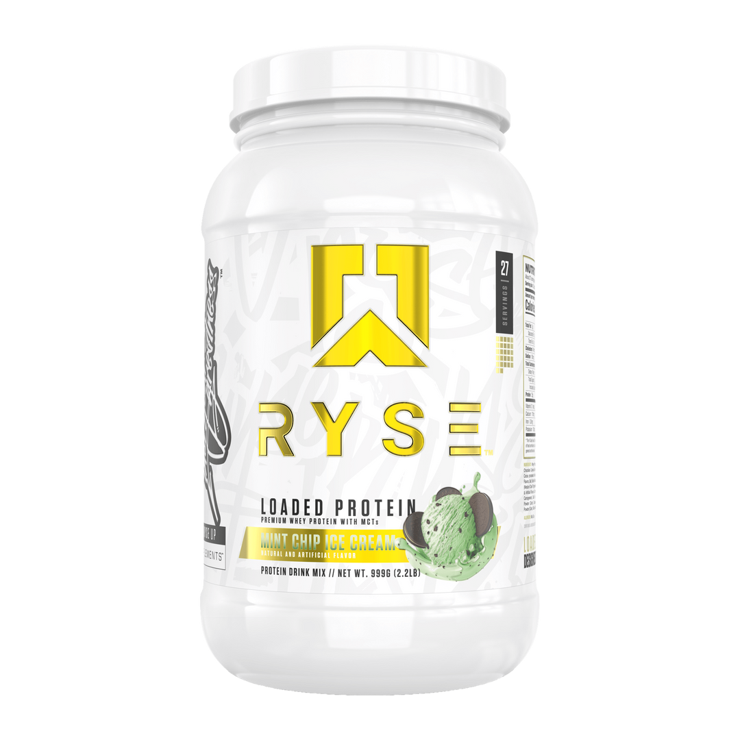 PROTEIN 2 LBS 27 SERV - MINT CHIP ICE CREAM