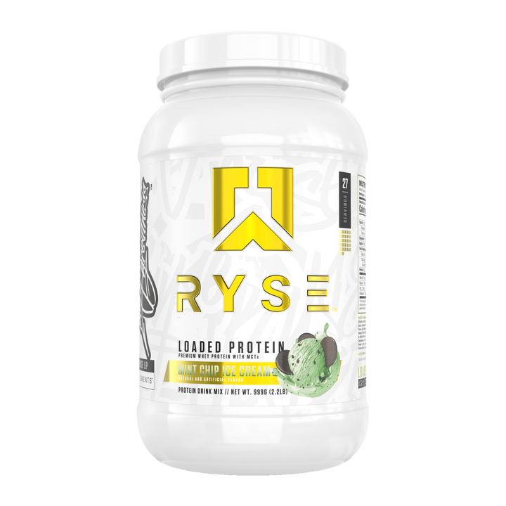 PROTEIN 2 LBS 27 SERV - MINT CHIP ICE CREAM