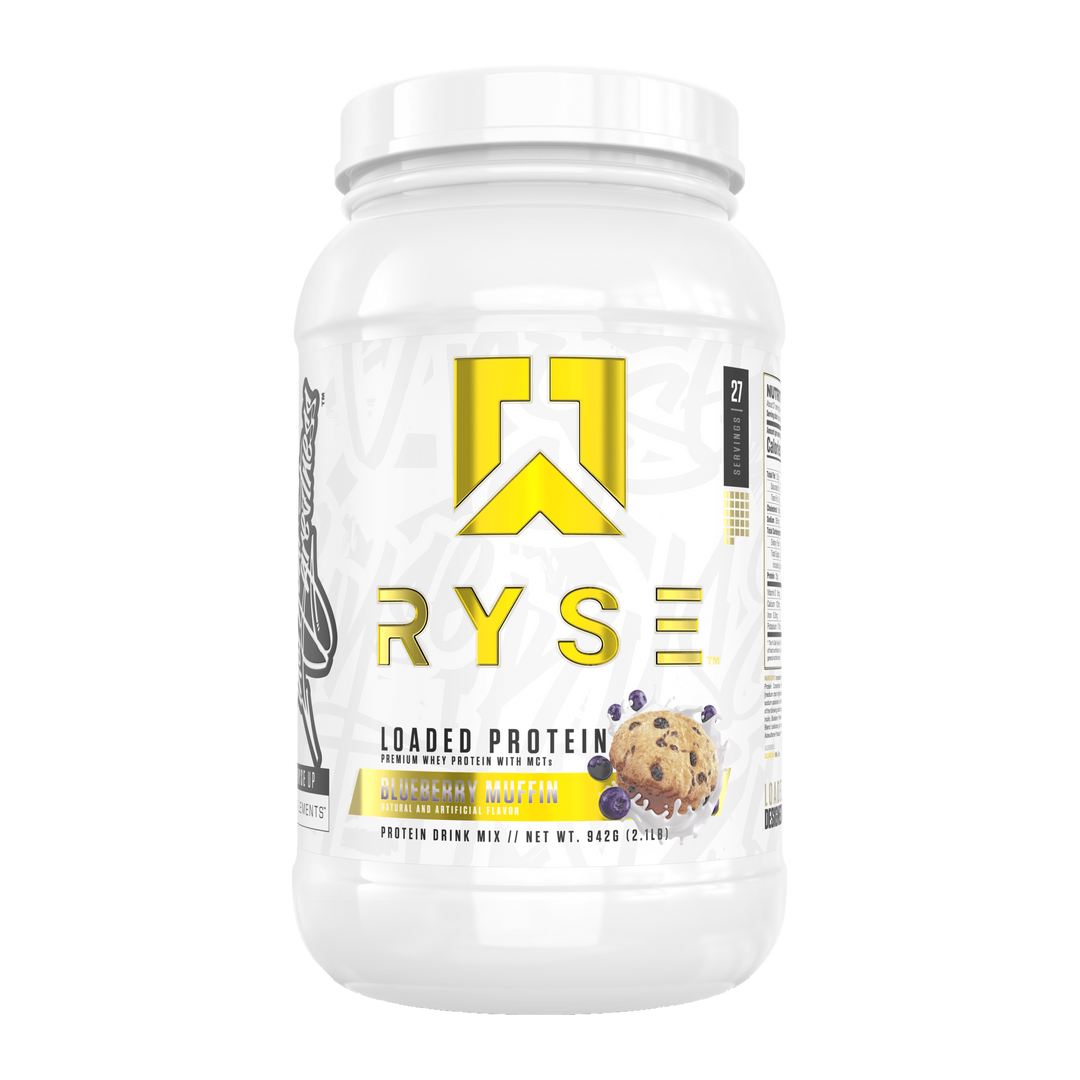PROTEIN 2 LBS 27 SERV - BLUEBERRY MUFFIN