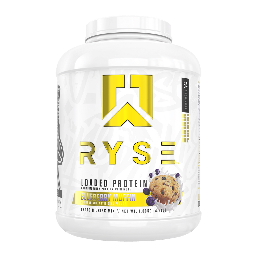 PROTEIN 4.6 LBS 54 SERV - BLUEBERRY MUFFIN