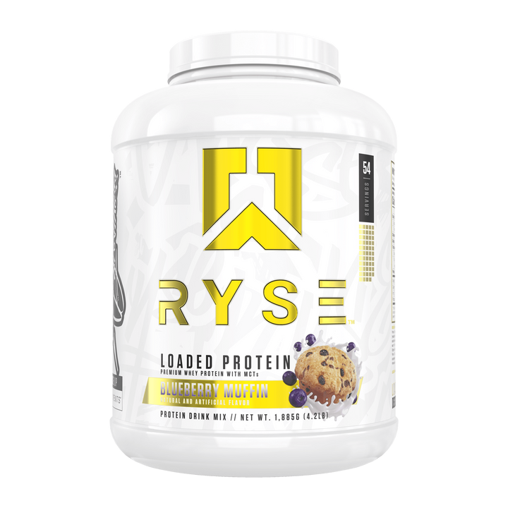 PROTEIN 4.6 LBS 54 SERV - BLUEBERRY MUFFIN