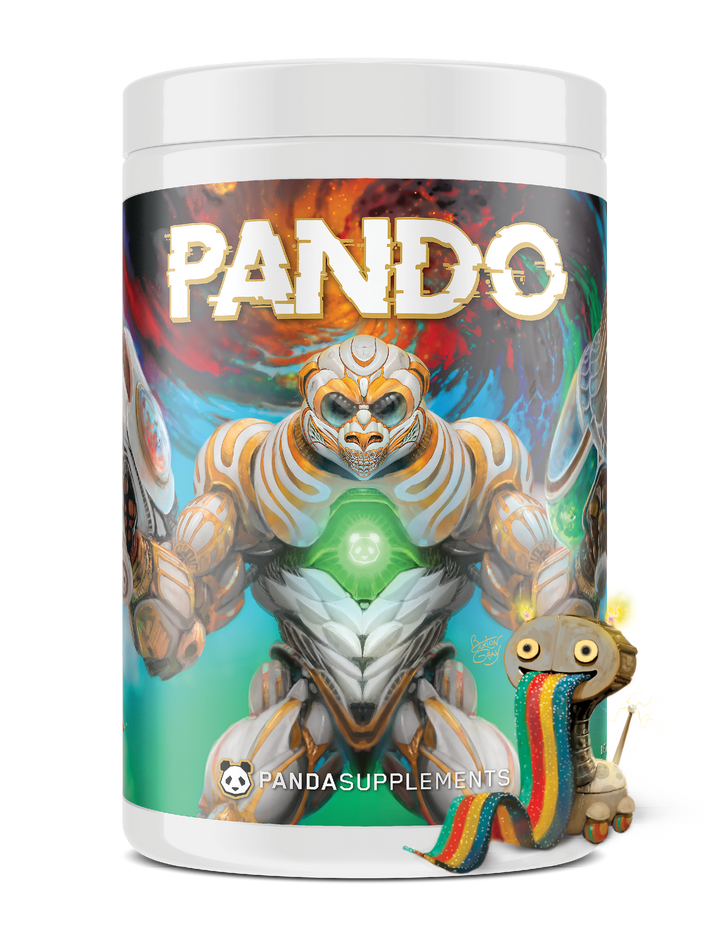 PANDO 25 SERV - SOUR ROBO BELT