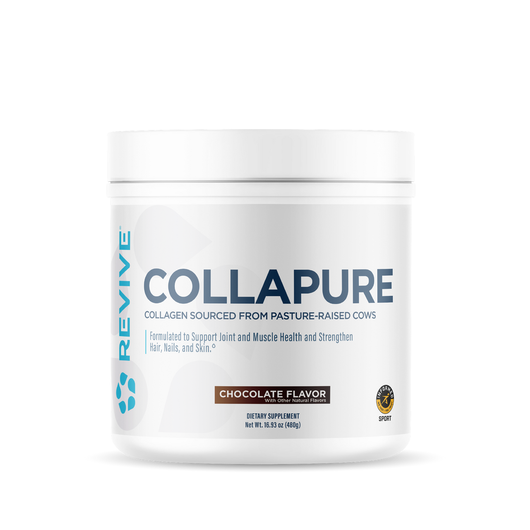 COLLAGEN 30 SERV - CHOCOLATE